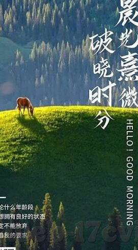 大象传媒下载app下载-探索大象传媒，解锁数字娱乐新体验