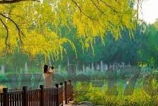 果冻传媒精选麻豆-探索果冻传媒精选麻豆的独特魅力与文化价值